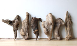 Treibholz Schwemmholz Driftwood  6 knorrige  Hölzer  Dekoration Garten Terrarium 21-26 cm **41** (TR1124)