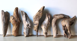Treibholz Schwemmholz Driftwood 7 knorrige   Hölzer  Dekoration Garten Garderobe 20 cm - 29 cm  **E77** (TR1053)