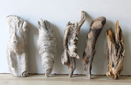 Treibholz Schwemmholz Driftwood 5 knorrige Hölzer Dekoration Garten Terrarium 24 cm - 29 cm **52** (TR1333)
