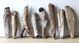 Treibholz Schwemmholz Driftwood  8 Hölzer Dekoration Garten Terrarium 23 cm - 29 cm  **199** (TR1285)