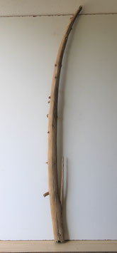 Treibholz Schwemmholz Driftwood  1 MEGA Ast 155 cm (Ä1408)