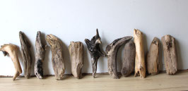 Treibholz Schwemmholz Driftwood 11 Hölzer Dekoration Garten Terrarium 17cm-23 cm **83** (TR1090)