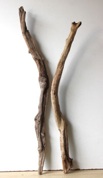 Treibholz Schwemmholz Driftwood  2 XXL  Hölzer Terrarium  Dekoration Garten   86  cm - 101  cm    (TR972)