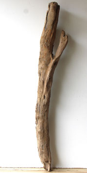 Treibholz Schwemmholz Driftwood 1 knorriger  XXL Stamm  Dekoration Garten Terrarium  118 cm (ST491)
