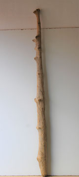 Treibholz Schwemmholz Driftwood  1 XXL   Stamm 171 cm (ST417)