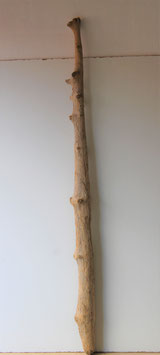 Treibholz Schwemmholz Driftwood  1 XXL   Stamm 171 cm (ST417)