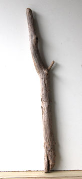 Treibholz Schwemmholz Driftwood  1 XL Ast Terrarium Garten Dekoration Garderobe 88 cm  (SA876)
