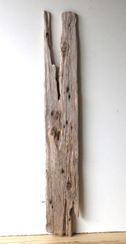 Treibholz Schwemmholz Driftwood 1  XXL Brett  Dekoration Garten Terrarium Regal 103 cm (B651)