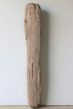 Treibholz Schwemmholz Driftwood  1 XXL Skulptur  95  cm (XXL242)