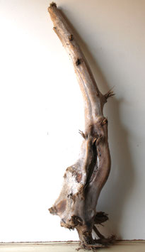 Treibholz Schwemmholz Driftwood  1 MEGA Skulptur Dekoration Garten 129 cm (XXL322)