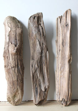 Treibholz Schwemmholz Driftwood 3 knorrige Hölzer Dekoration Garten Terrarium  44 cm - 46 cm   (TR1322)