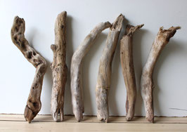 Treibholz Schwemmholz Driftwood 6 Hölzer Dekoration Garten Terrarium 35 cm - 41 cm lang **E176** (TR1067)