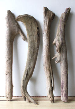 Treibholz Schwemmholz Driftwood  4 XL  Hölzer  Dekoration Terrarium  57 cm - 60 cm  (TR1034)