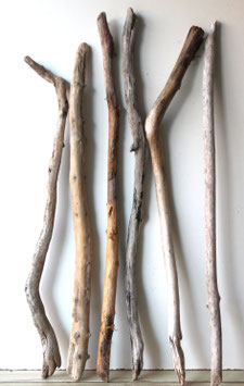 Treibholz Schwemmholz Driftwood  6 XXL  Äste  Dekoration Garten Terrarium 100 cm - 114 cm (Ä1673)