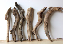 Treibholz Schwemmholz Driftwood 6  Hölzer Dekoration Garten Terrarium 37 cm -43 cm **E171**(TR1127)