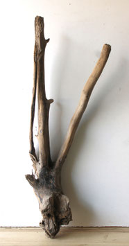 Treibholz Schwemmholz Driftwood  1 XXL Wurzel Dekoration Garten Terrarium 85 cm (W749)