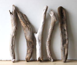 Treibholz Schwemmholz Driftwood 5  Hölzer Dekoration Garten Terrarium 41 cm - 45 cm  **E22** (TR1293)
