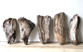 Treibholz Schwemmholz Driftwood 5 knorrige  Hölzer Dekoration Terrarium Ostern 21 cm - 26 cm  **20**(TR1258)