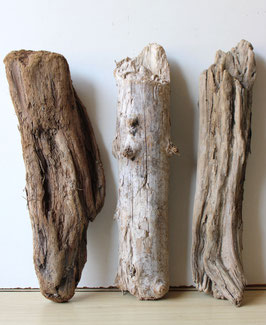Treibholz Schwemmholz Driftwood 3 knorrige XL Hölzer Dekoration Garten Terrarium 43cm - 45 cm **E42** (TR1109)