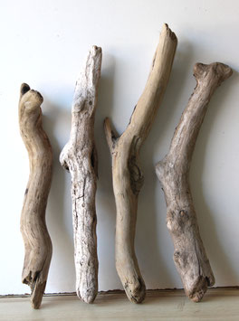 Treibholz Schwemmholz Driftwood  4 XL Hölzer  Dekoration Garten Terrarium  46 cm - 59 cm  **E8** (TR1294)