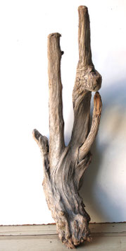 Treibholz Schwemmholz Driftwood 1 knorrige XL   Wurzel Garten Terrarium 59  cm lang   (W674)