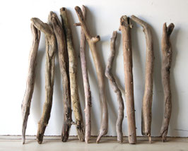 Treibholz Schwemmholz  Driftwood 10  Äste  Dekoration Terrarium  Ostern 46 cm- 55  cm **E26** (Ä1701)