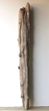 Treibholz Schwemmholz Driftwood 1 MEGA  XXL Skulptur  Dekoration Garten Terrarium 131 cm (XXL308)