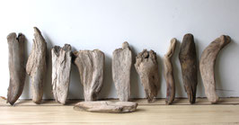Treibholz Schwemmholz Driftwood  10 kleine Hölzer  Dekoration Terrarium  19 cm - 29 cm **204** (TR1029)