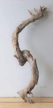 Treibholz Schwemmholz Driftwood  1  XXL  Wurzel  88 cm (W429)