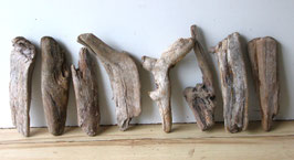 Treibholz Schwemmholz Driftwood 8 Hölzer Dekoration Terrarium Ostern 25 cm - 29 cm  **129**(TR1252)