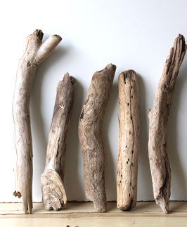 Treibholz Schwemmholz Driftwood  5 Hölzer Dekoration Garten Terrarium 38 cm - 48 cm **E31** (TR1157)