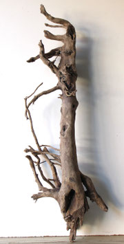 Treibholz Schwemmholz Driftwood 1 MEGA Wurzel Garten Terrarium 117  cm lang   (W672)