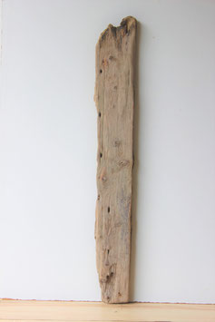 Treibholz Schwemmholz Driftwood  1 XXL Brett  101 cm  (B550)