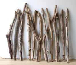 Treibholz Schwemmholz Driftwood  14  XL Äste  Dekoration  Garten Terrarium 60-71 cm **E164**  (Ä1644)