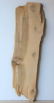 Treibholz Schwemmholz Driftwood  1 MEGA Brett  (B455)