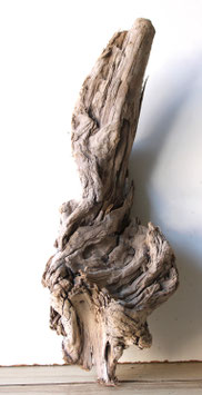 Treibholz Schwemmholz Driftwood 1 knorrige Wurzel Garten Terrarium 48  cm lang   (W676)