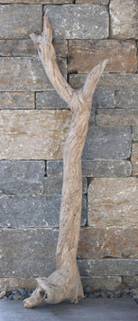Treibholz Schwemmholz Driftwood  1 XXL  Wurzel Dekoration Terrarium Garten  125 cm  (W632)