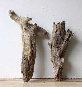 Treibholz Schwemmholz Driftwood 2 knorrige Hölzer Dekoration Garten Terrarium 39 cm - 47 cm lang **E194* (TR1022)