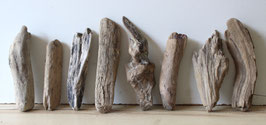 Treibholz Schwemmholz Driftwood  8 kleine Hölzer Dekoration Garten Terrarium  19 cm - 26 cm *E170*  (TR1301)