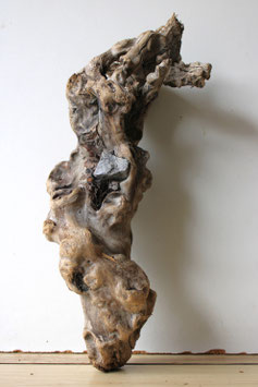 Treibholz Schwemmholz Driftwood 1 knorrige  Wurzel  Dekoration Terrarium 43 cm (W615)