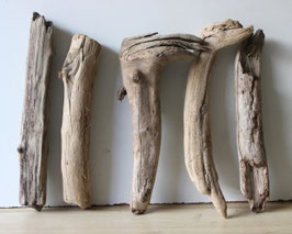 Treibholz Schwemmholz Driftwood 5 knorrige  Hölzer Dekoration Garten Terrarium 37 cm - 42 cm **E1**  (TR1310)