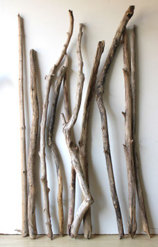 Treibholz Schwemmholz Driftwood  10 XXL  Äste Dekoration Garten Terrarium 93 cm - 125  cm   (Ä1639)
