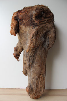 Treibholz Schwemmholz Driftwood 1 XXL Skulptur  (XXL139)