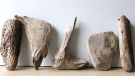 Treibholz Schwemmholz Driftwood  5 knorrige   Hölzer Dekoration Garten Terrarium 21 cm - 28 cm lang **E46** (TR997)