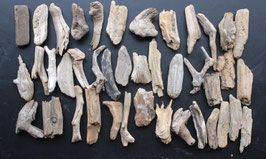 Treibholz Schwemmholz Driftwood 40 größere  Minis  Dekoration Garten Terrarium 8 cm -15 cm **225** (M411)