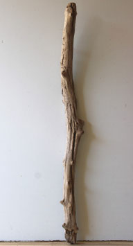 Treibholz Schwemmholz Driftwood 1 XXL Ast Dekoration Garderobe Terrarium 97 cm (SA916)