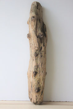 Treibhoz Schwemmholz Driftwood 1 XL Stamm Dekoration  75 cm (ST393)