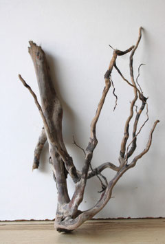 Treibholz Schwemmholz Driftwood 1  Wurzel  Dekoration Garten Terrarium 36 cm  hoch (W747)