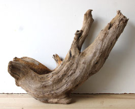 Treibholz Schwemmholz Driftwood 1 knorrige   Wurzel  Dekoration Garten Terrarium 36 cm hoch   (W745)