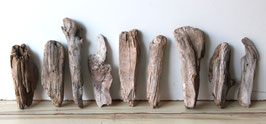 Treibholz Schwemmholz Driftwood 9 kleine  Hölzer Garten Terrarium Dekoration Garten 19-27 cm **224** (TR1227)